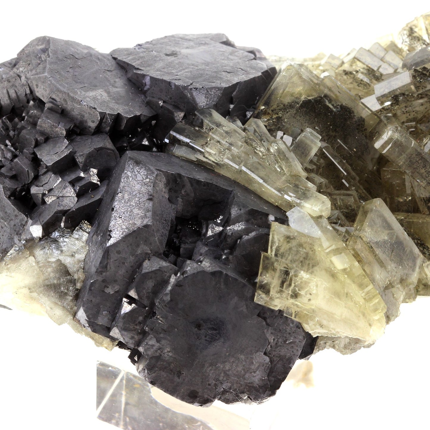 Baryte + Galène. 3984.0 carats. Oumjrane, Drâa-Tafilalet Region, Maroc