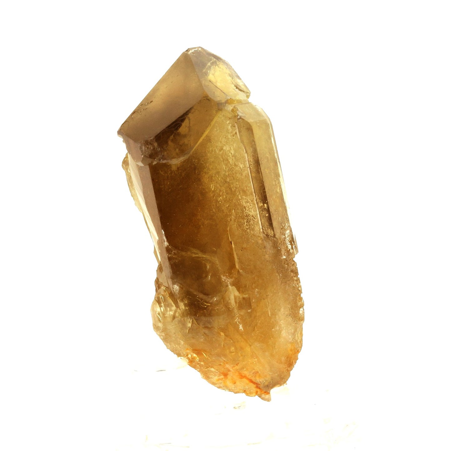 Baryte sceptre. 541.1 carats. Olloix, Puy-de-Dôme, France