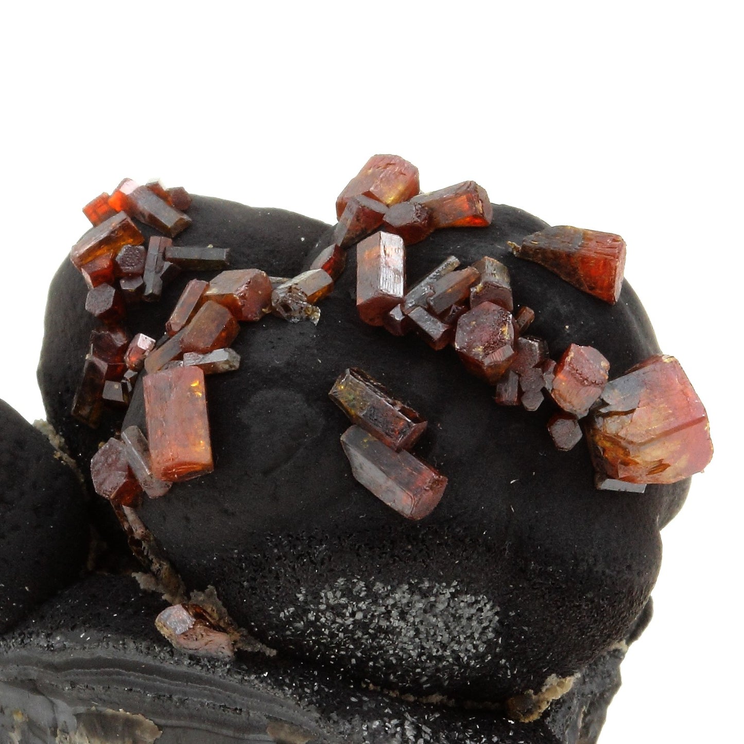 Vanadinite + Coronadite. 436.4 carats. Taouz, Meknès-Tafilalet Region, Maroc