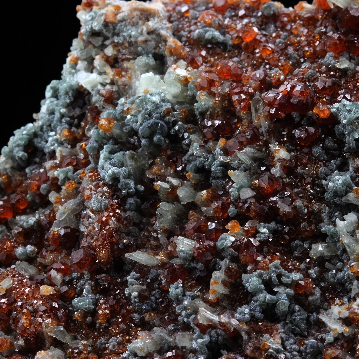 Grenat Hessonite. 901.0 carats. Vallée d'Ala, Piémont, Italie