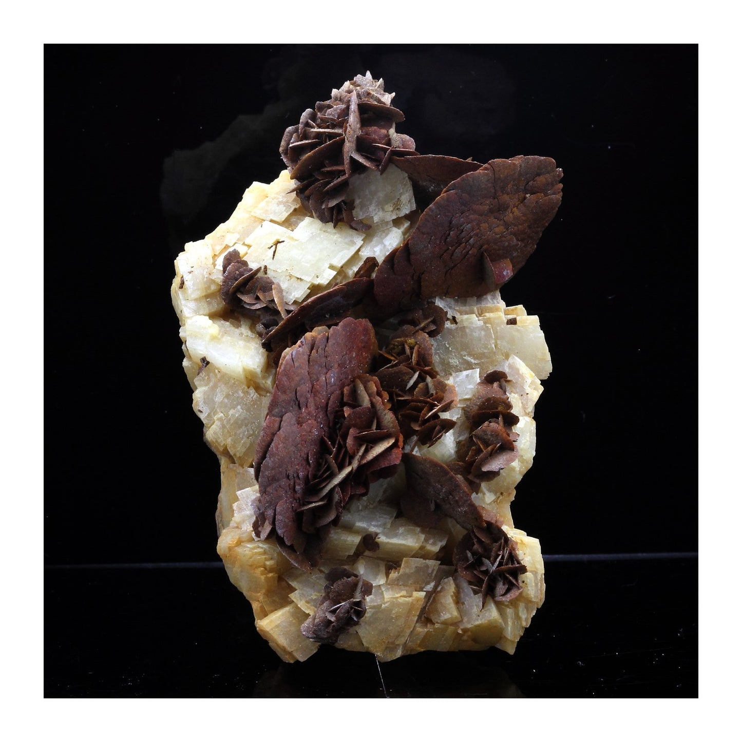 Siderite + Ankerite. 606.0 carats. Mine de Pierre Rousse, Vizille, Isère, Auvergne-Rhône-Alpes, France