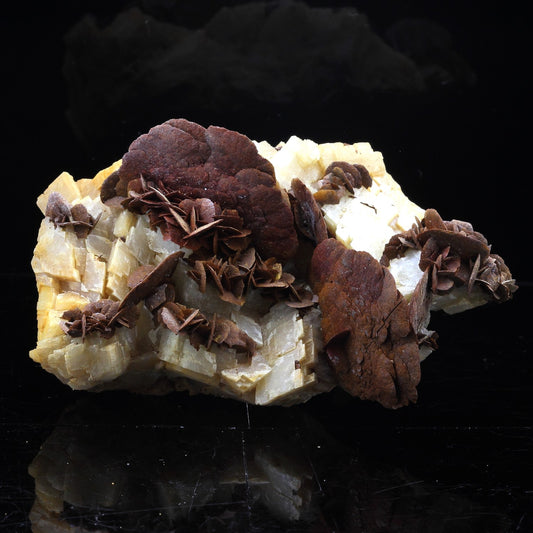 Siderite + Ankerite. 606.0 carats. Mine de Pierre Rousse, Vizille, Isère, Auvergne-Rhône-Alpes, France