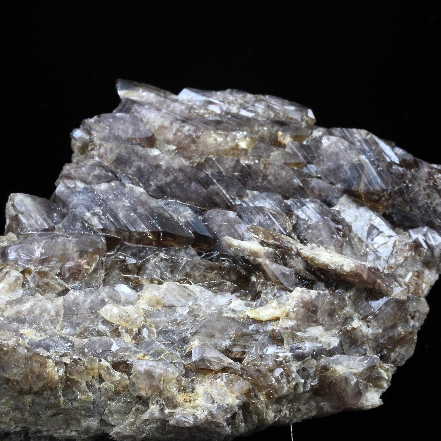 Axinite. 522.0 carats. Chamrousse, Belledonne, Isère, France