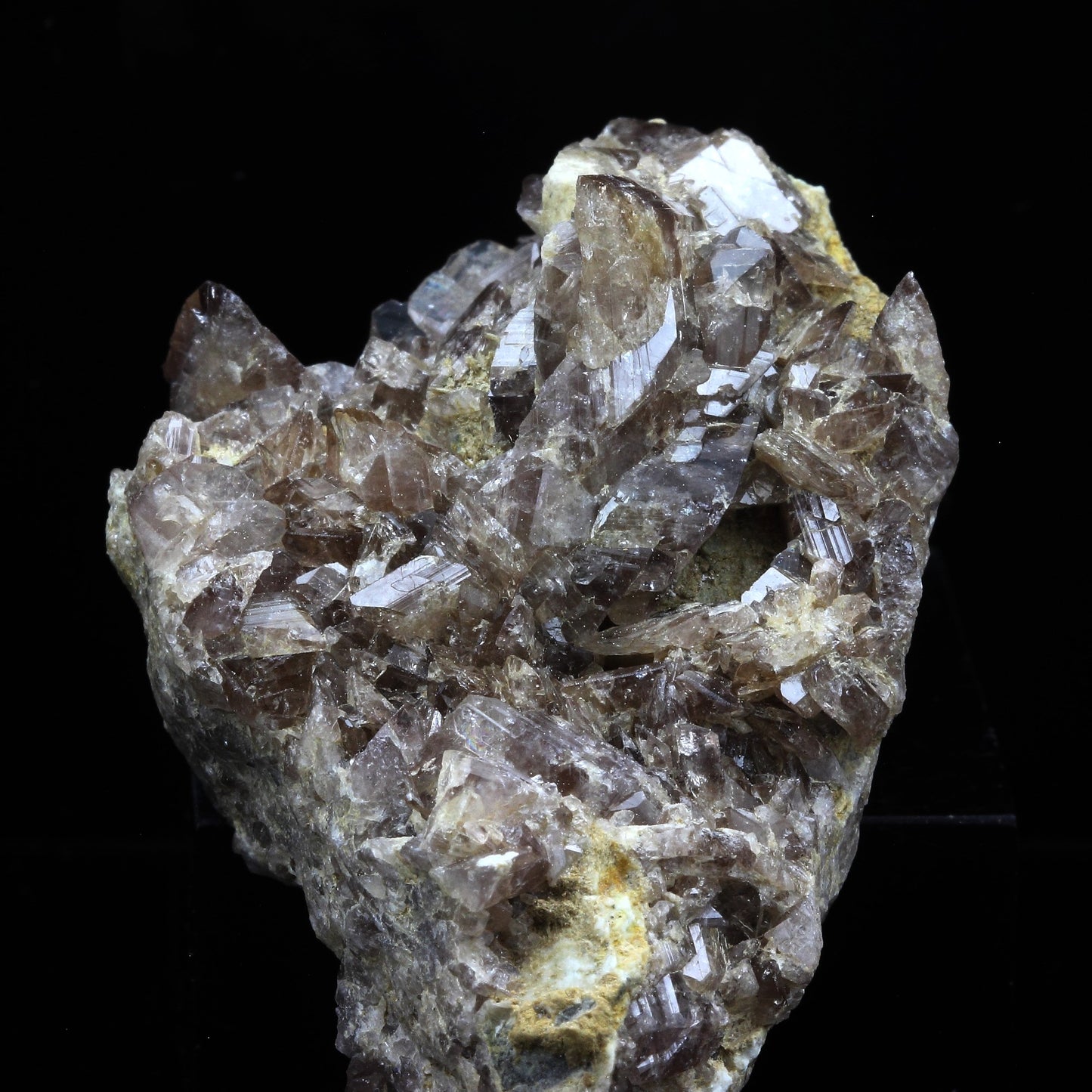 Axinite + Prehnite. 352.5 carats. Chamrousse, Belledonne, Isère, France