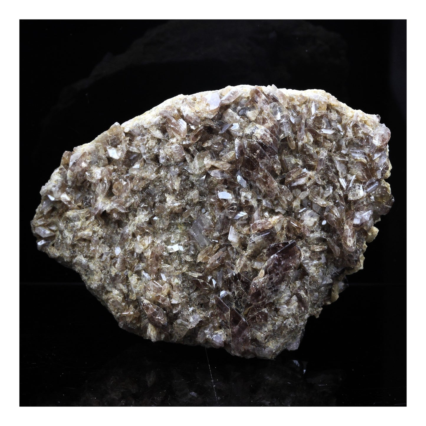 Axinite + Prehnite. 763.5 carats. Chamrousse, Belledonne, Isère, France