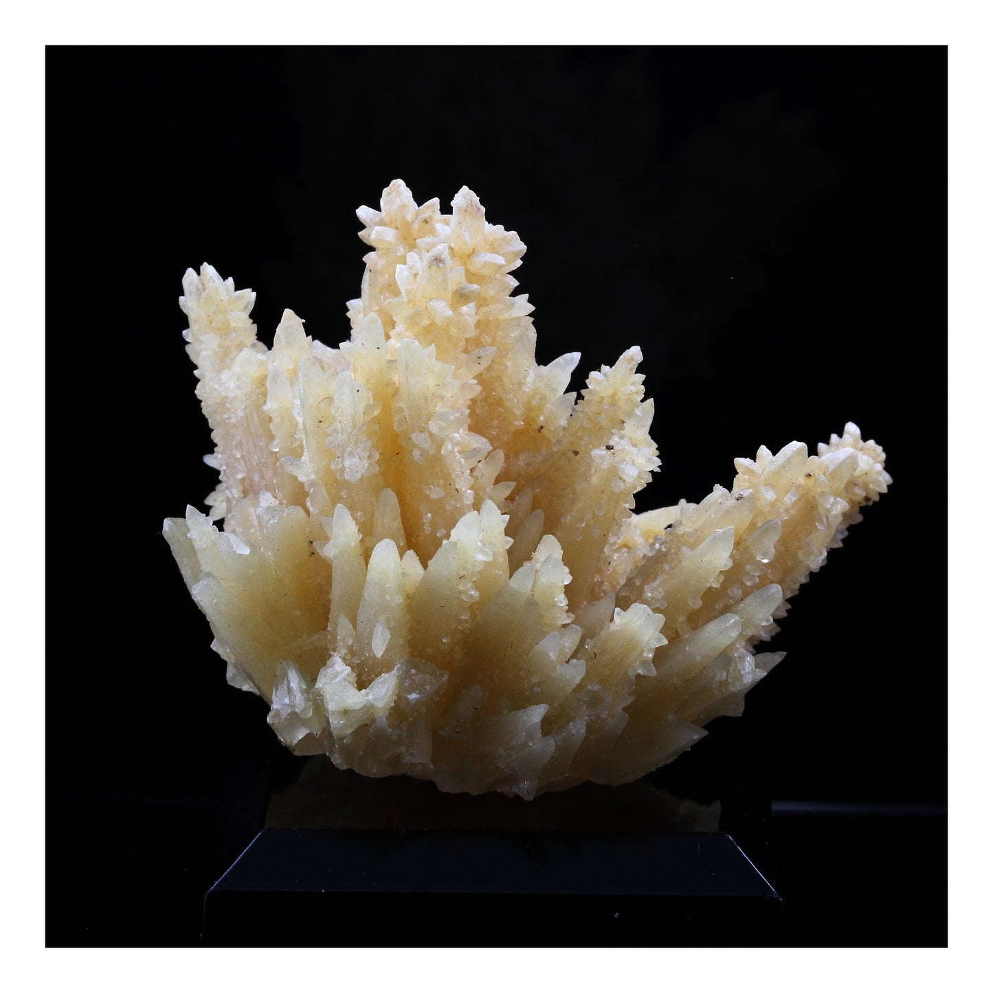 Calcite. 291.5 carats. Barjac, Lozère, France