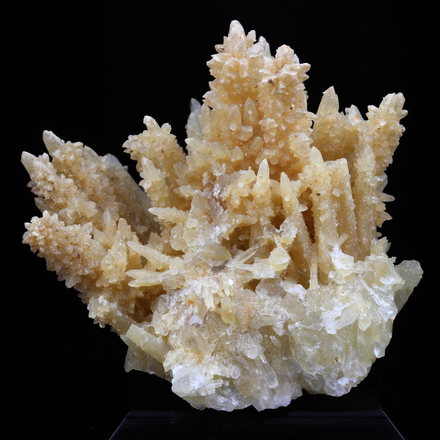 Calcite. 291.5 carats. Barjac, Lozère, France