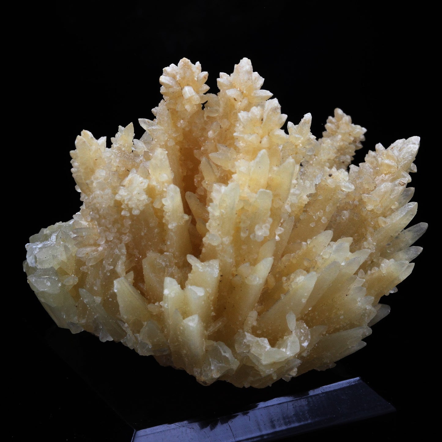 Calcite. 291.5 carats. Barjac, Lozère, France