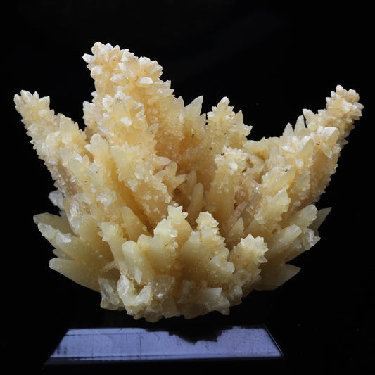 Calcite. 291.5 carats. Barjac, Lozère, France