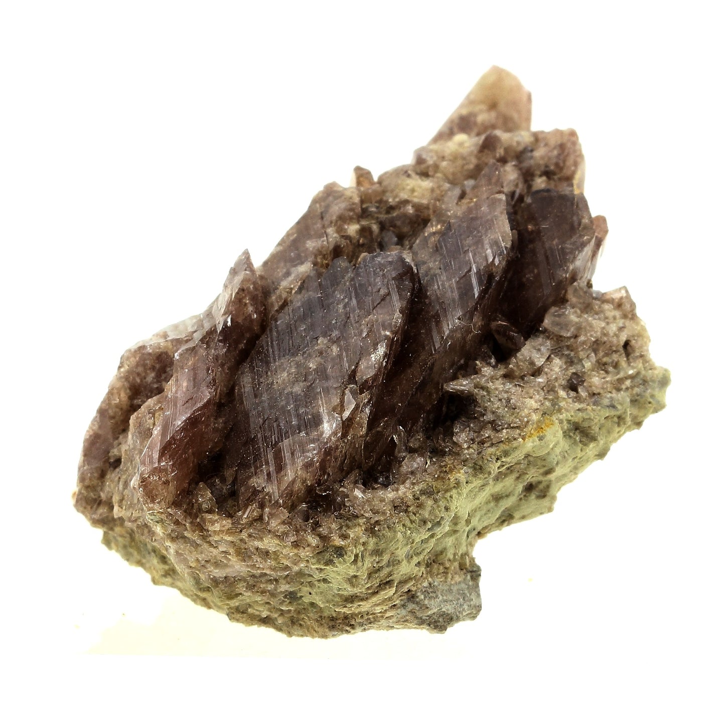 Axinite. 321.5 carats. Chamrousse, Belledonne, Isère, France