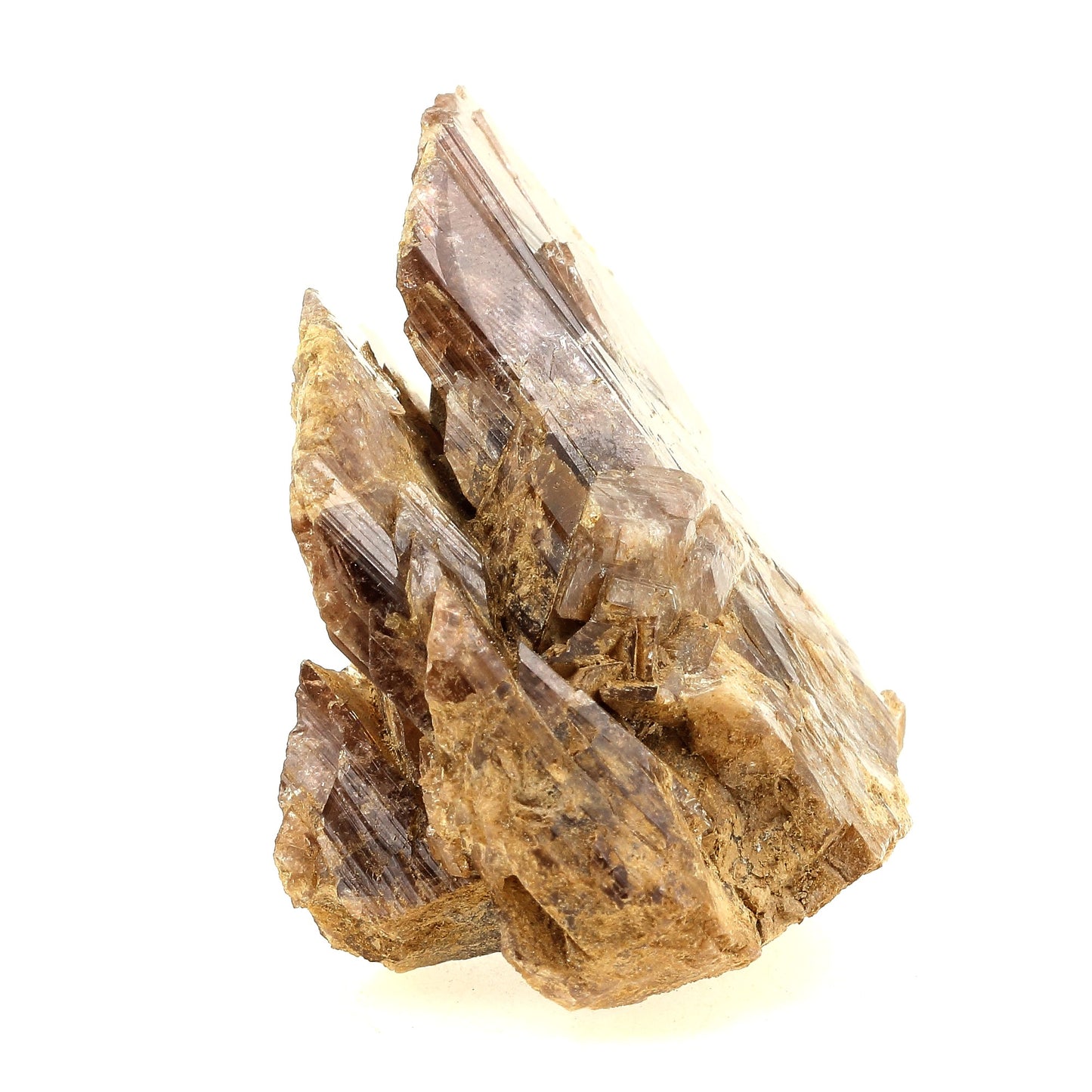 Axinite. 577.5 carats. Chamrousse, Belledonne, Isère, France