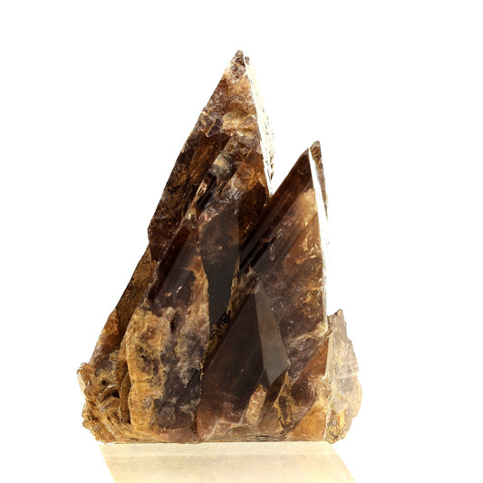 Axinite. 577.5 carats. Chamrousse, Belledonne, Isère, France