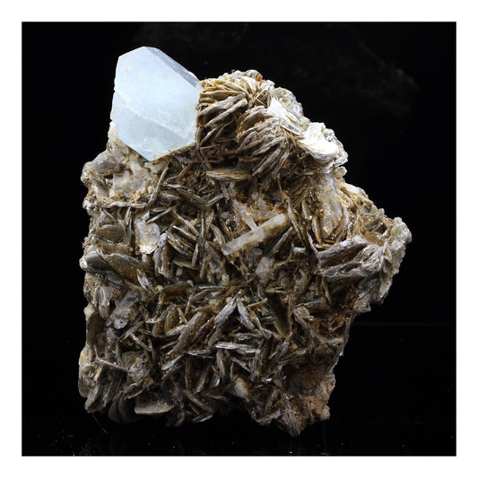 Aigue-Marine + Mica en provenance de Nagar, Hunza Valley, Gilgit District, Gilgit-Baltistan, Pakistan