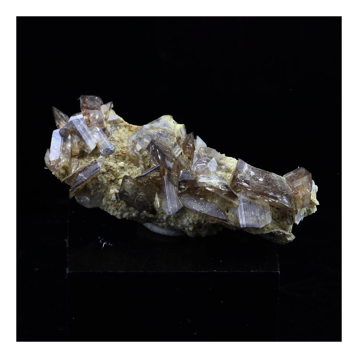 Axinite. 13.0 carats. La Balme d'Auris, Bourg d'Oisans, Isère, France