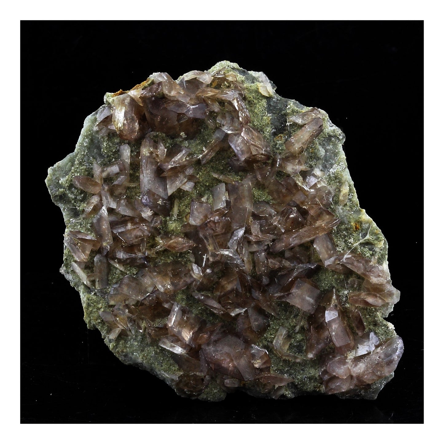 Axinite. 55.0 carats. La Balme d'Auris, Bourg d'Oisans, Isère, France