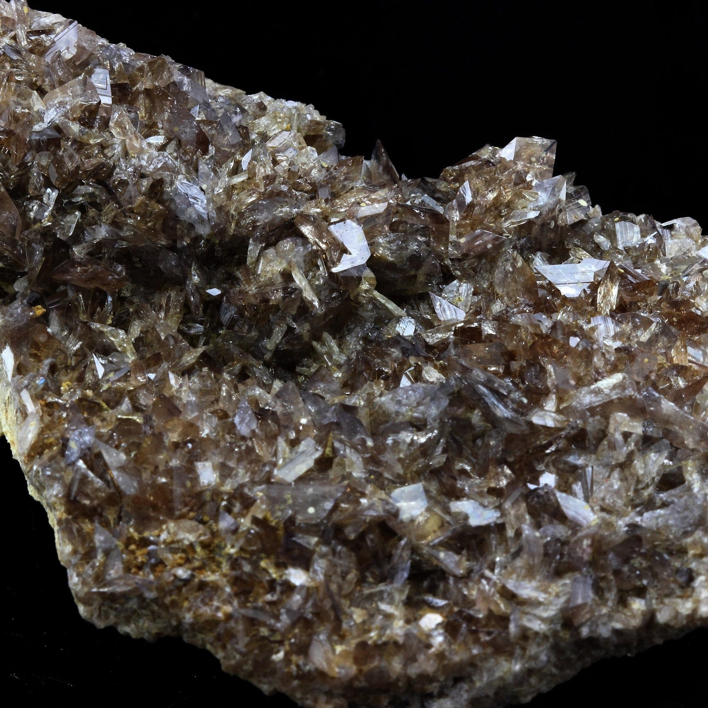 Axinite. 398.5 carats. La Balme d'Auris, Bourg d'Oisans, Isère, France