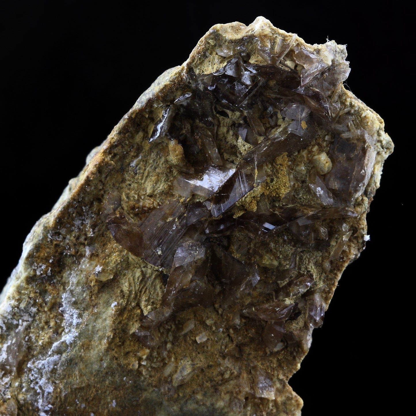 Axinite. 305.0 carats. La Balme d'Auris, Bourg d'Oisans, Isère, France