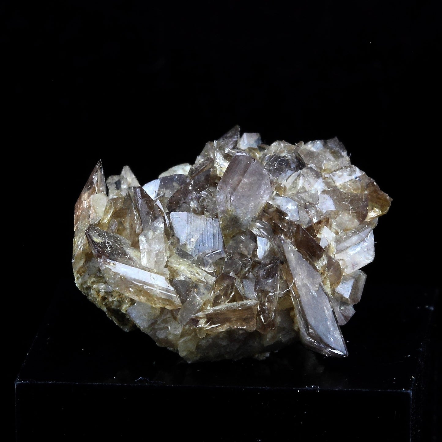 Axinite. 11.5 carats. La Balme d'Auris, Bourg d'Oisans, Isère, France
