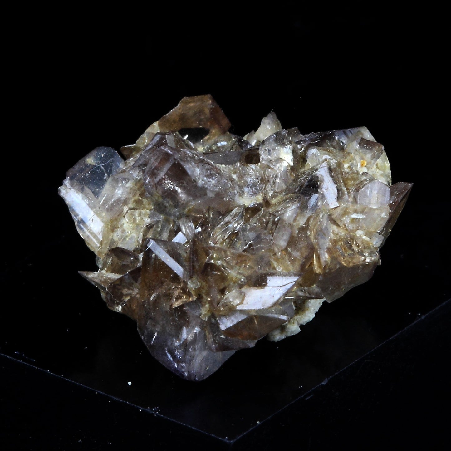 Axinite. 11.5 carats. La Balme d'Auris, Bourg d'Oisans, Isère, France