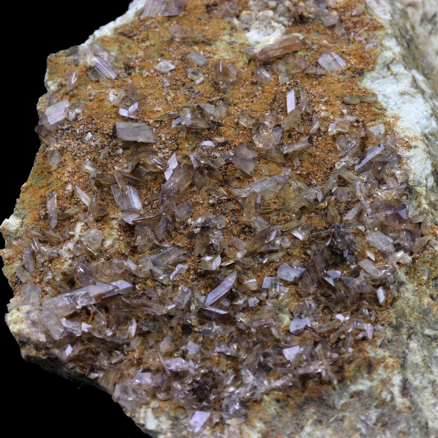 Axinite. 745.5 carats. La Balme d'Auris, Bourg d'Oisans, Isère, France