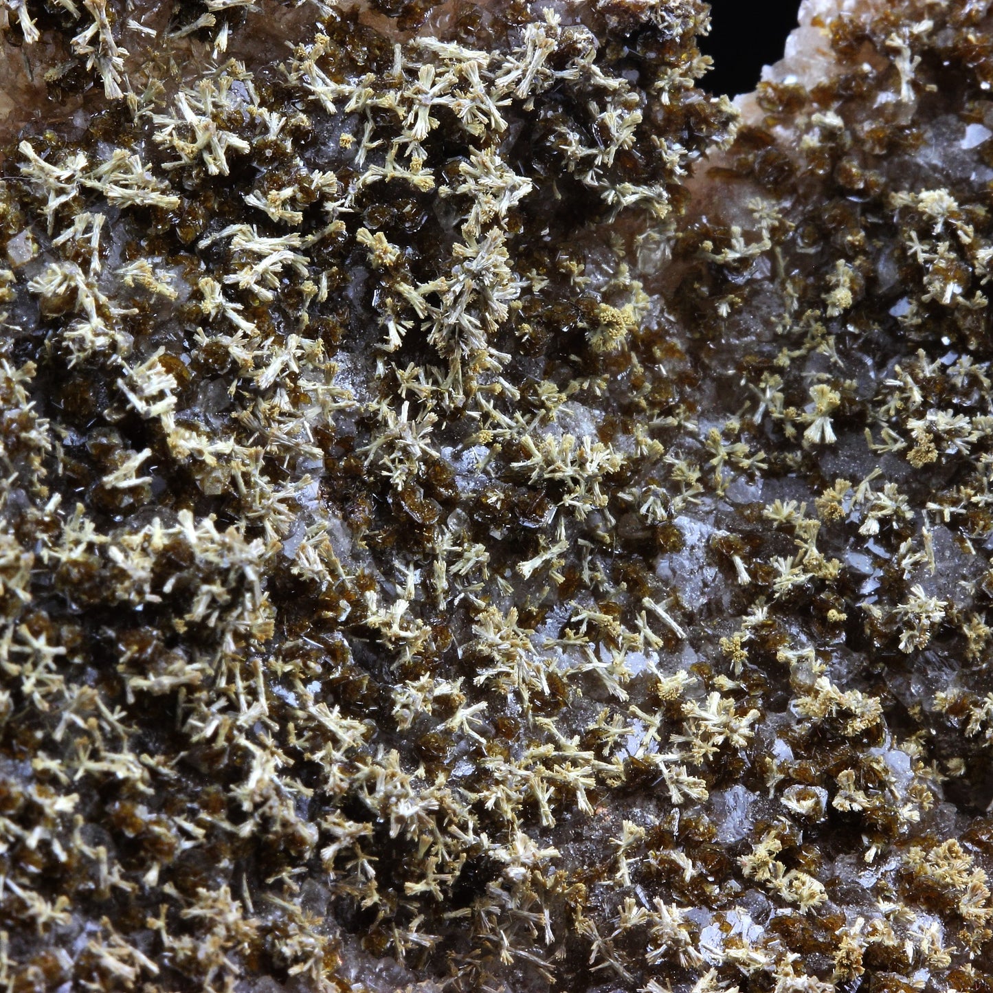 Endlichite + Calcite. 1241.5 carats. Erupción Mine, Los Lamentos Mts, Mexique