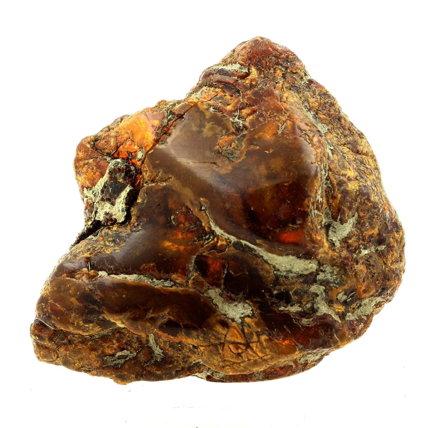 Ambre. 484.5 carats. Sabana de la Mar, République dominicaine