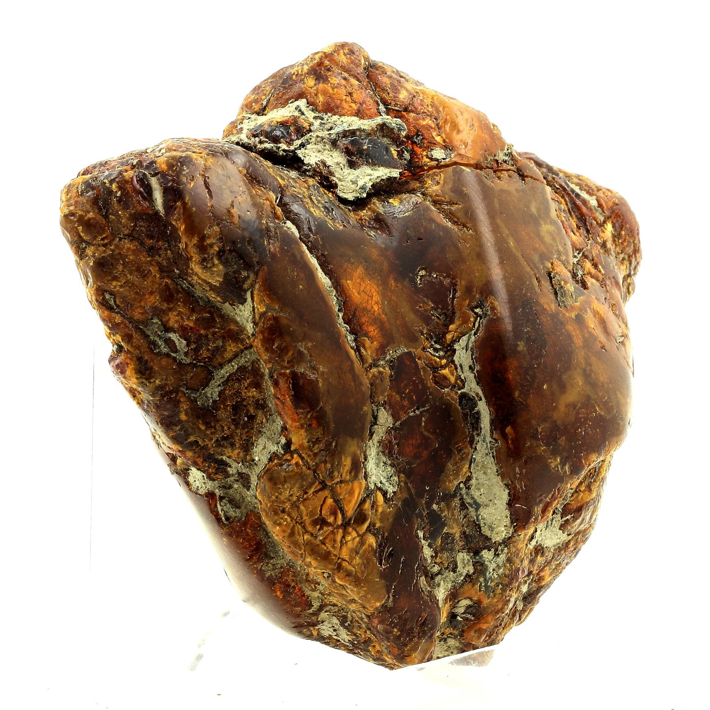 Ambre. 484.5 carats. Sabana de la Mar, République dominicaine