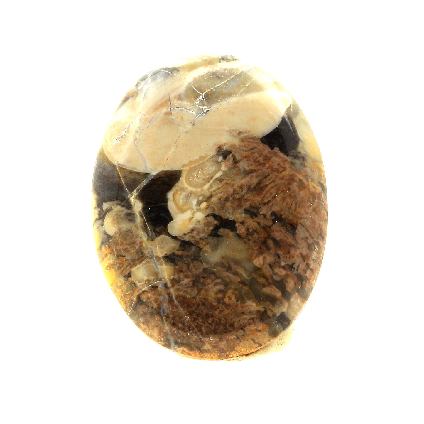 Montmorillonite, 55.5 carats, Arthabaska, Québec, Canada