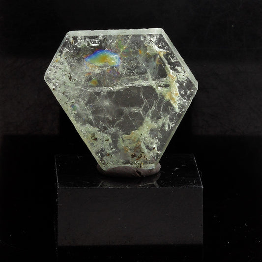 Béryl vert (tranche polie). 11.19 carats. Tsaramasoandro, Analamanga, Madagascar