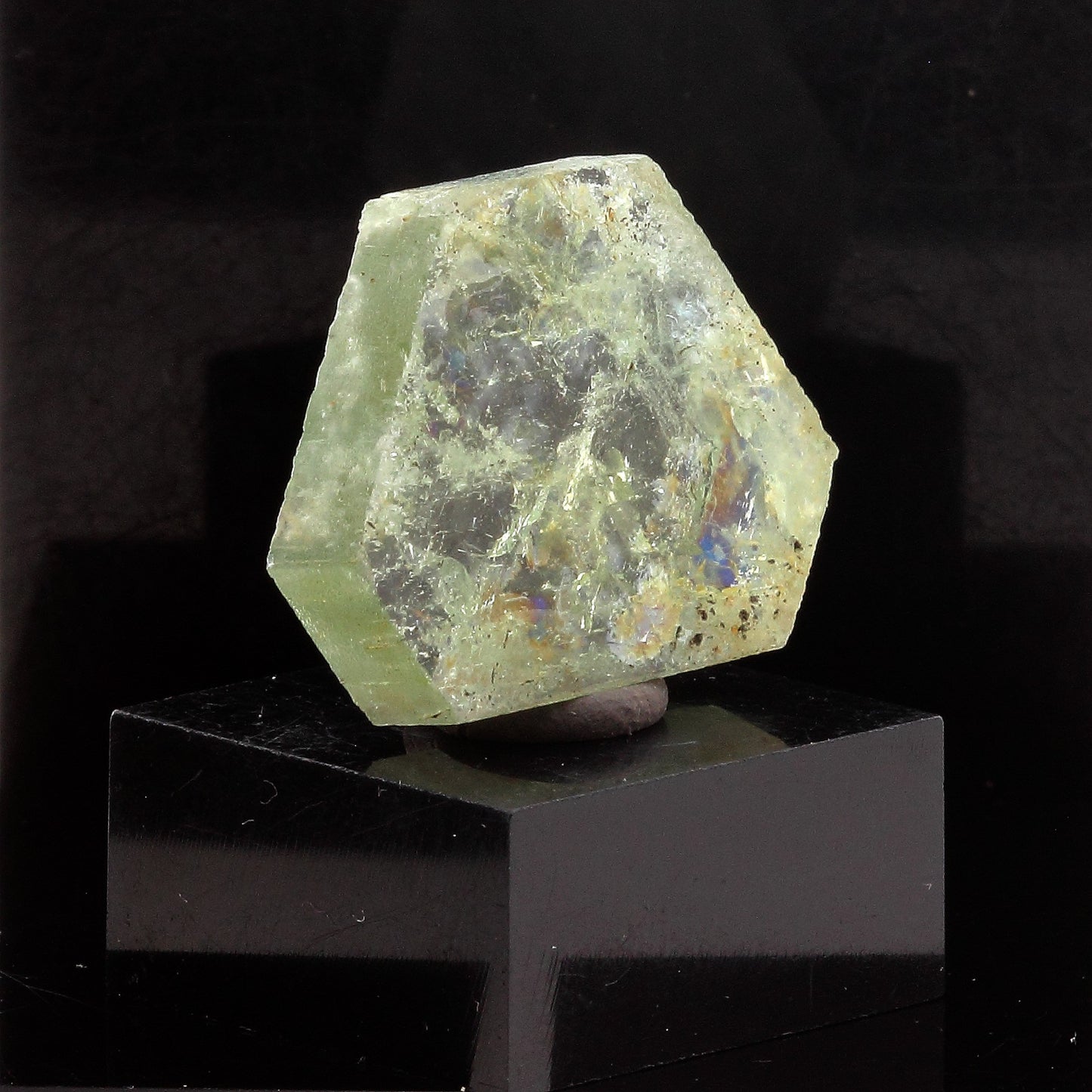 Béryl vert (tranche polie). 15.58 carats. Tsaramasoandro, Analamanga, Madagascar