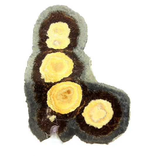 Marcasite + Baryte. 593.0 carats. Lubin District, Lower Silesia, Pologne