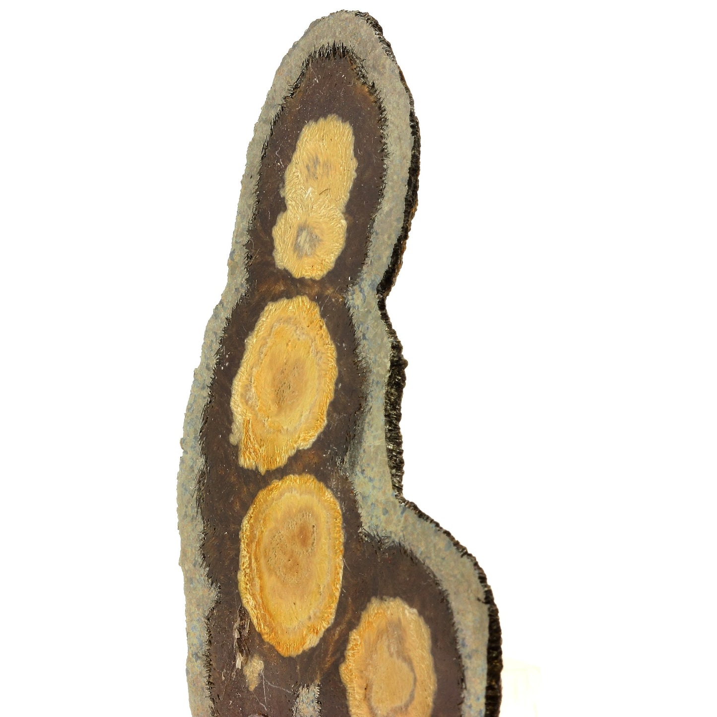 Marcasite + Baryte. 593.0 carats. Lubin District, Lower Silesia, Pologne