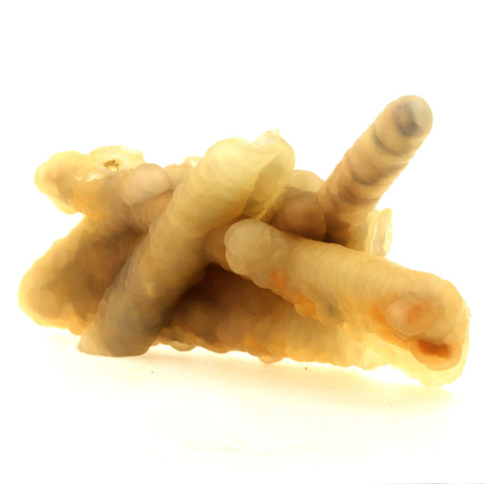 Calcédoine, 1581.5 carats, Java, Indonesie