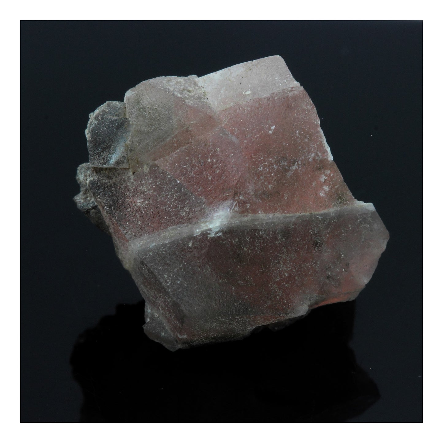 Fluorite rose. 14.62 carats. Massif du Mont-Blanc, France