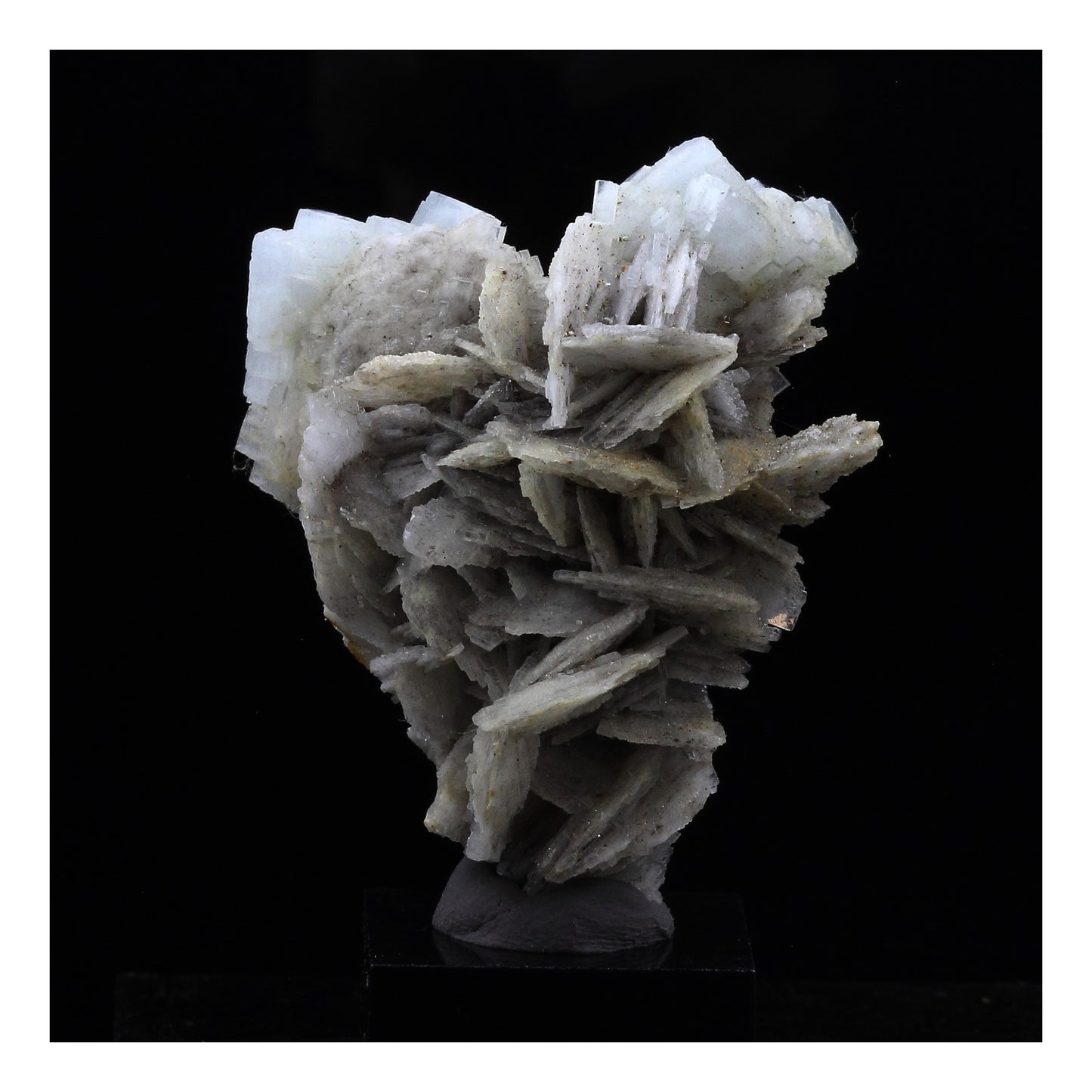 Baryte. 154.5 carats. Les Malines, Saint-Laurent-le-Minier, Occitanie, France