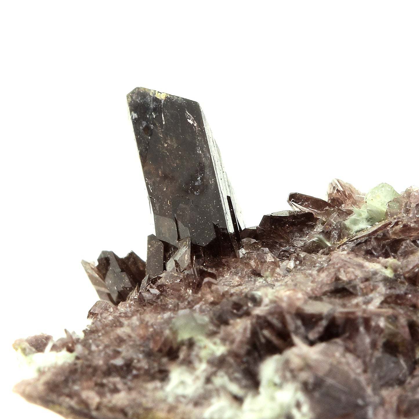 Axinite- (Fe). 78.5 carats. New Melones Dam, Californie, Etats-Unis