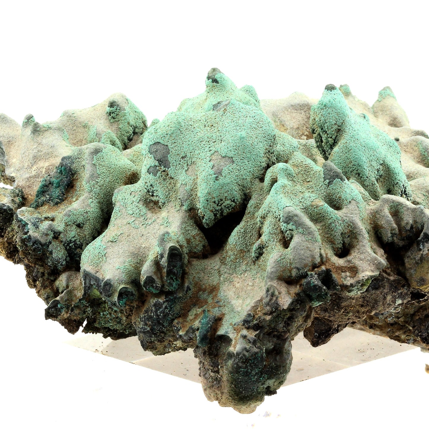 Chrysocolle. 1633.0 carats. L'Etoile du Congo Mine, Lubumbashi, Congo