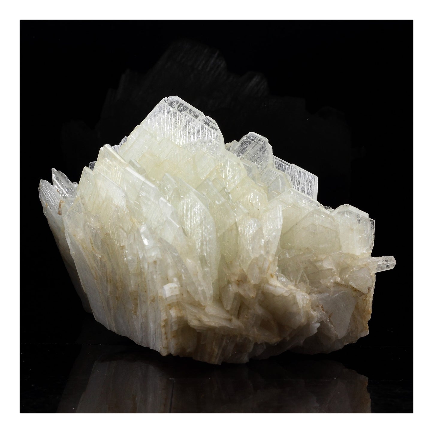 Baryte. 2240.0 carats. Iglesias, Sardaigne, Italie