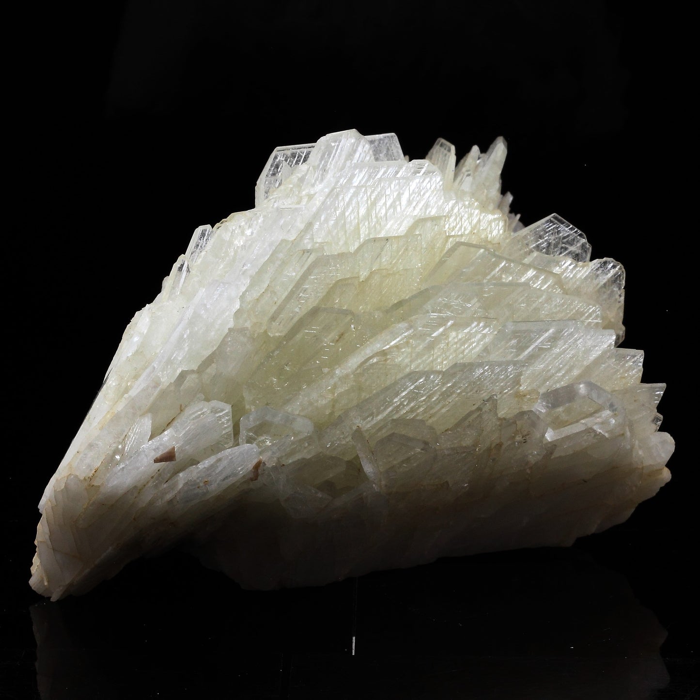 Baryte. 2240.0 carats. Iglesias, Sardaigne, Italie
