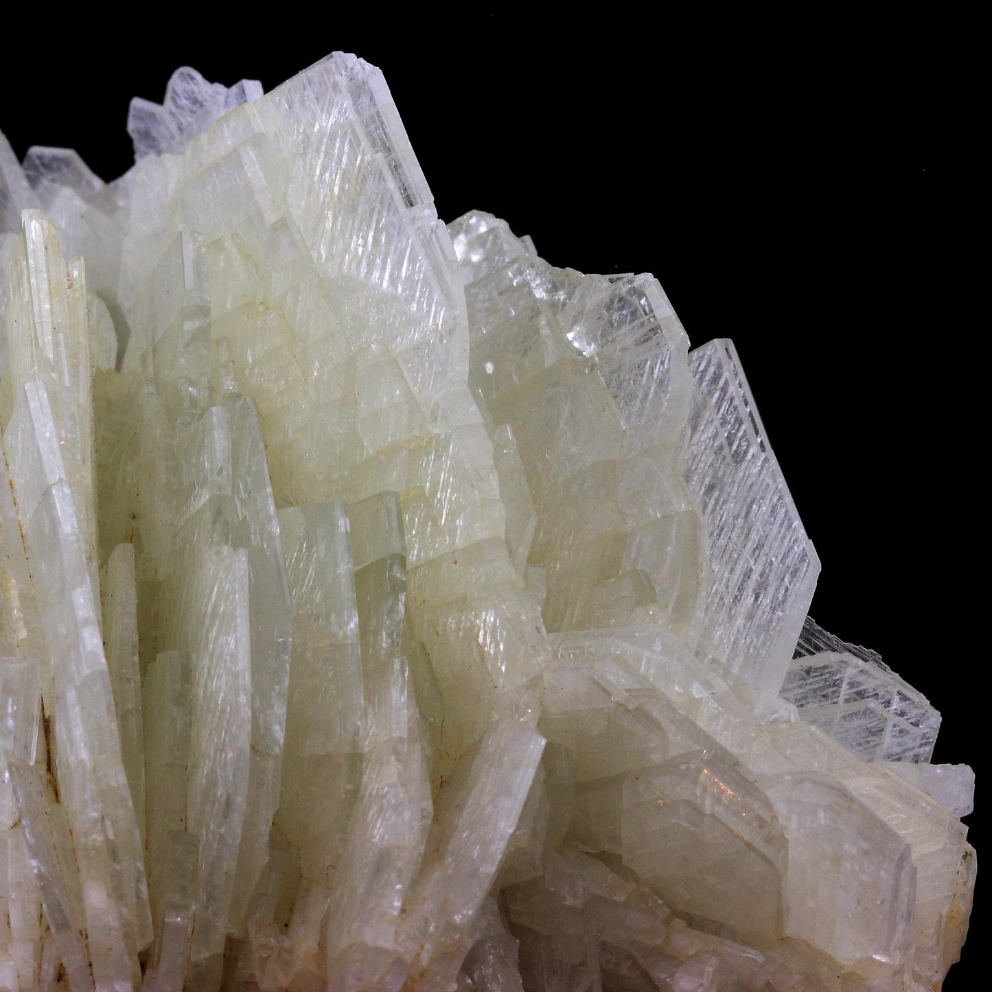 Baryte. 2240.0 carats. Iglesias, Sardaigne, Italie