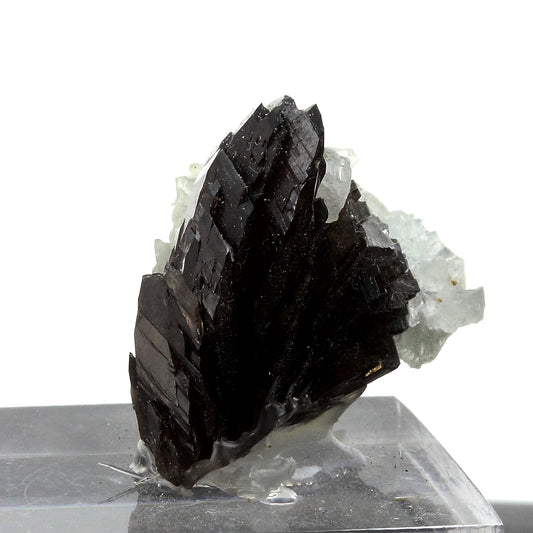 Axinite + Prehnite. 70.5 carats. Dalnegorsk, Primorsky Krai, Russie