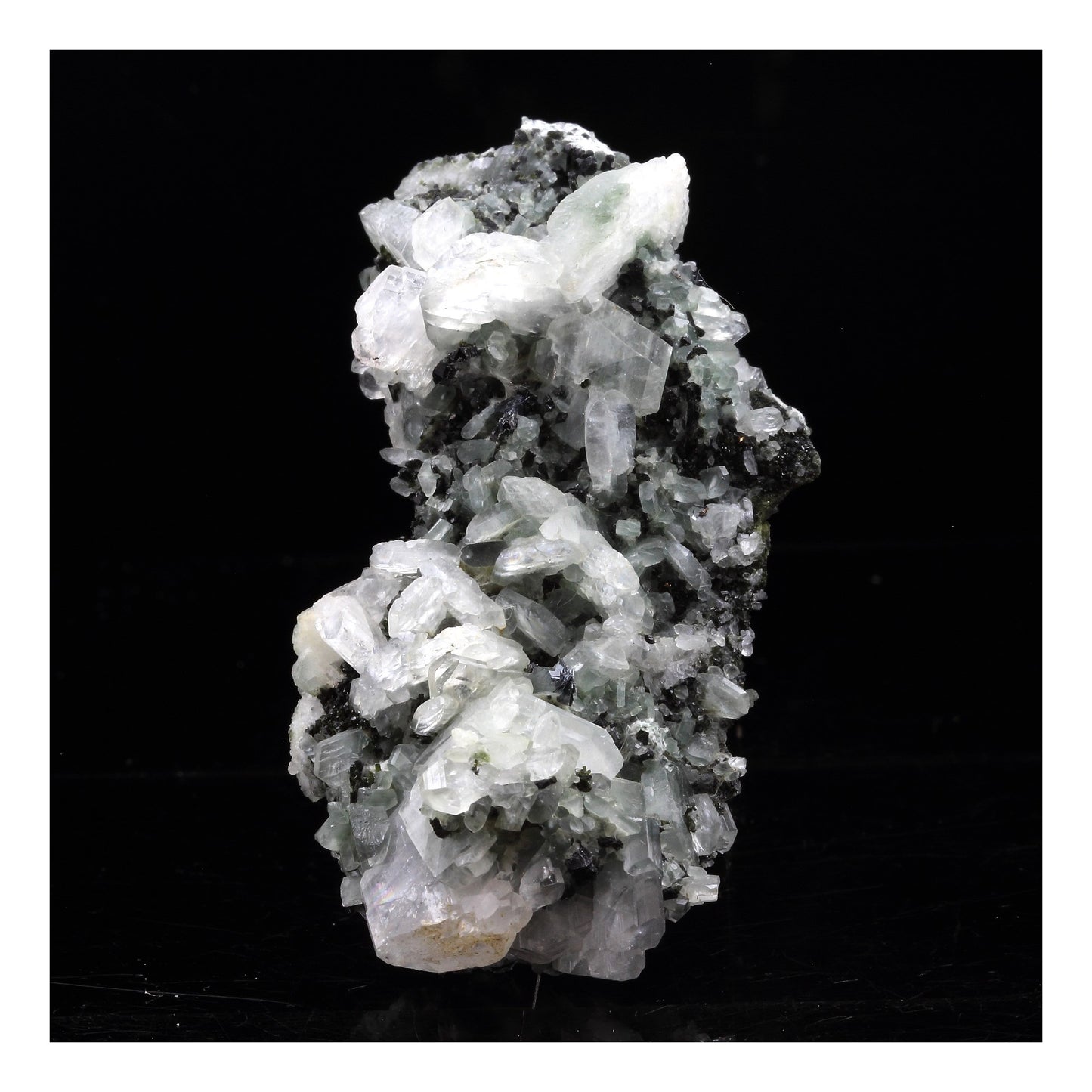 Albite + Epidote, 215.0 carats, Saint-Véran, Hautes-Alpes, Provence-Alpes-Côte d'Azur, France