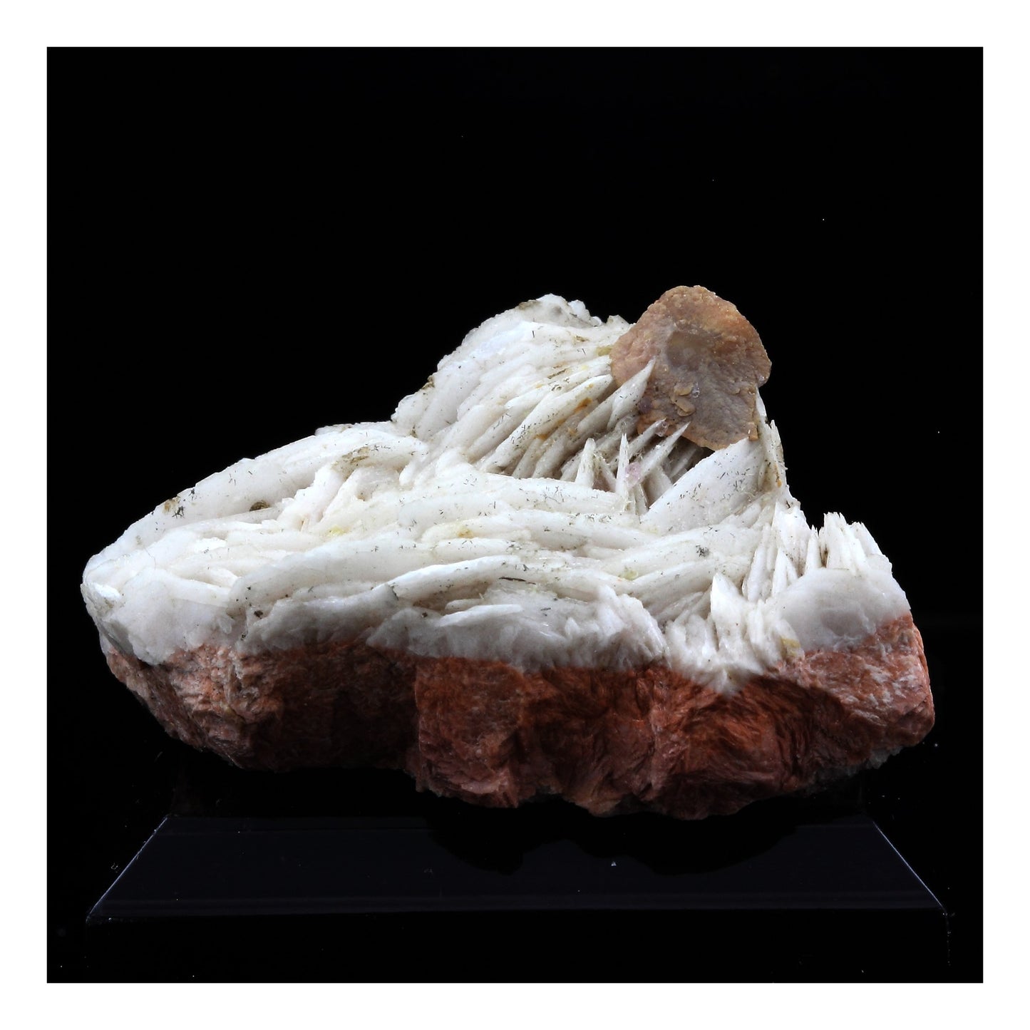 Wulfenite + Baryte. 149.5 carats. Lantignié, France