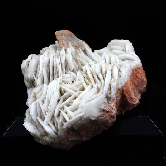Wulfenite + Baryte. 149.5 carats. Lantignié, France