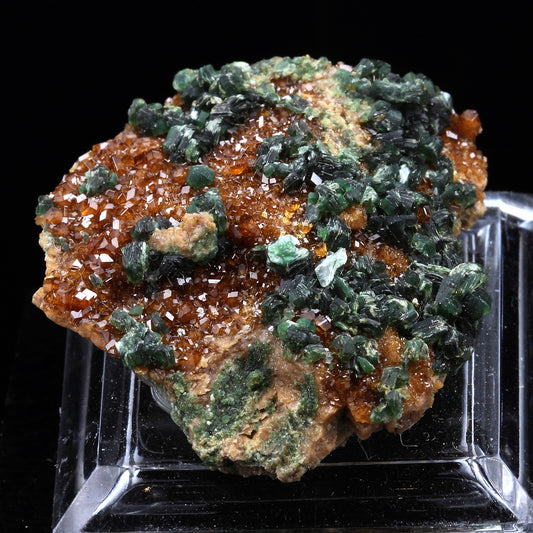 Grenat Hessonite + Clinochlore. 195.5 carats. Val de Suza, Piedmont, Italie