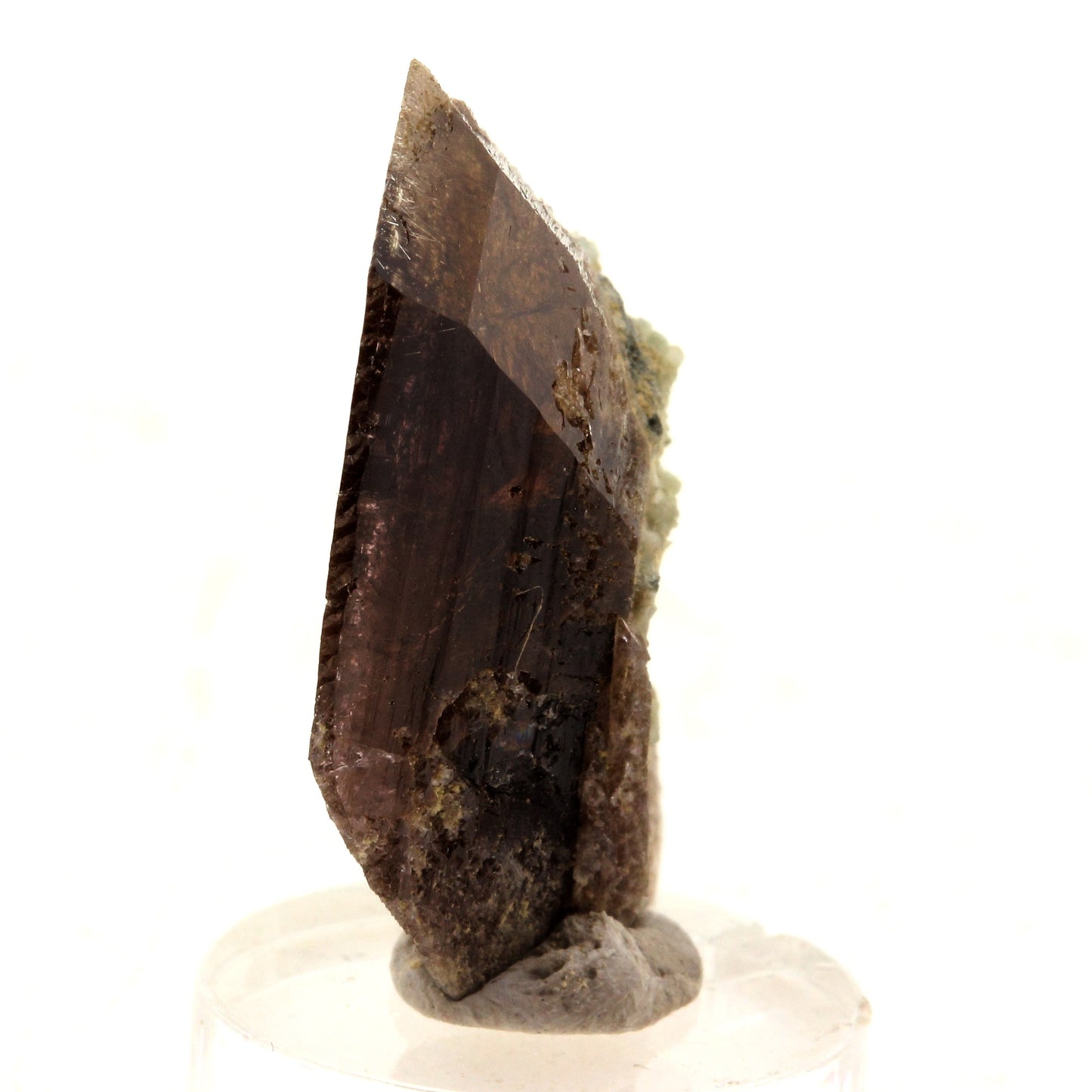 Axinite. 25.0 carats. Le Rocher d'Armentier, Bourg d'Oisans, France