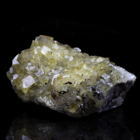 Fluorite + Pyrite. 1181.0 carats. Villabona Mines, Asturias, Espagne