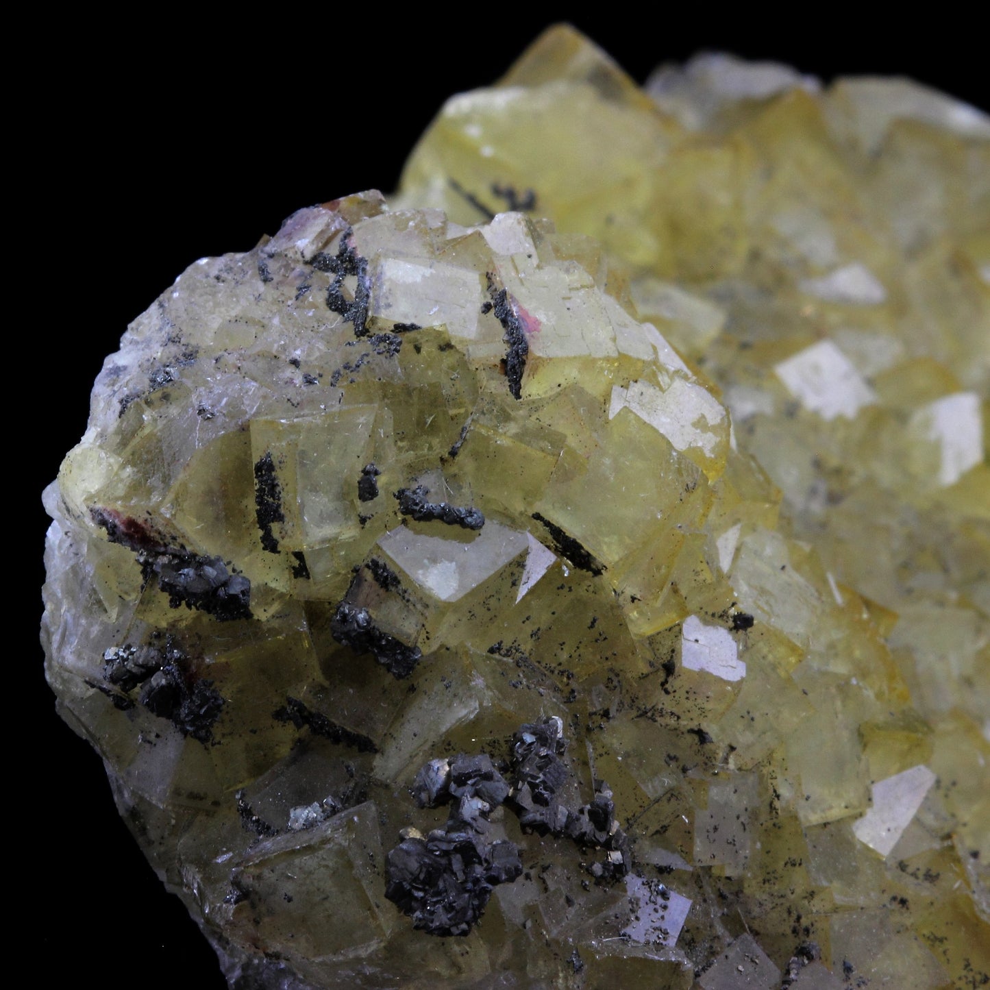Fluorite + Pyrite. 1181.0 carats. Villabona Mines, Asturias, Espagne