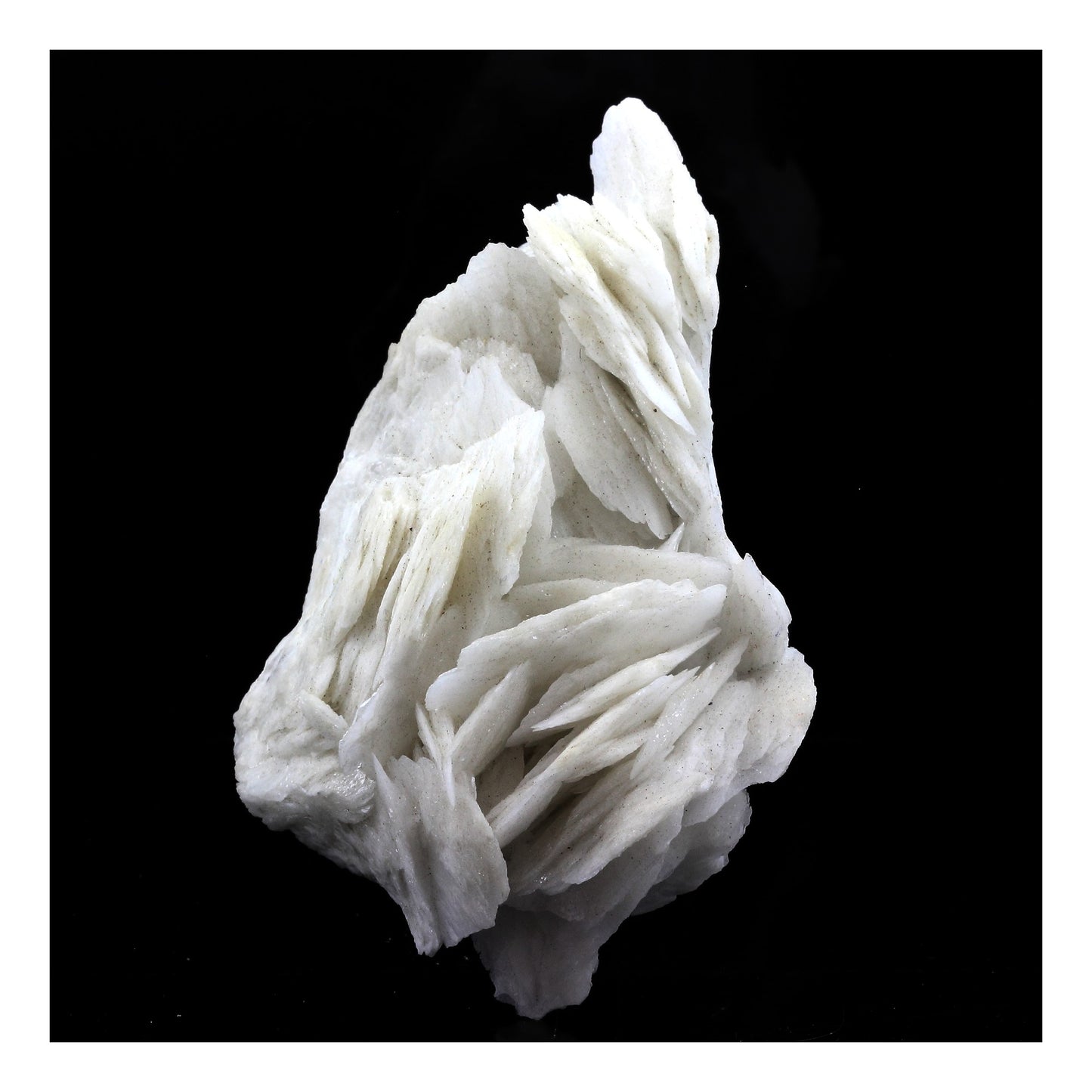 Baryte. 825.5 carats. Les Malines, Saint-Laurent-le-Minier, Occitanie, France
