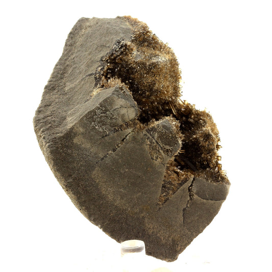 Septaria à Barytine. 1204.0 carats. Hyèges, Moriez, Alpes-de-Haute-Provence, France